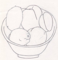 Organic Exercise (fruits)