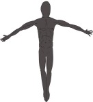 Working with the Figure on Computer