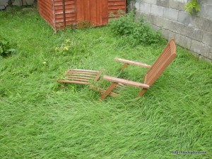 This is what three weeks looks like