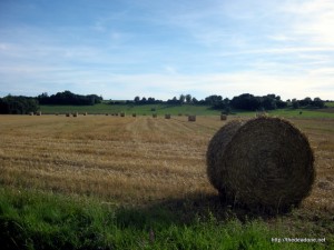 The weather in France